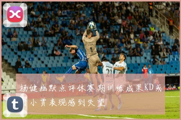 杨健幽默点评休赛期训练成果KD或对小贾表现感到失望